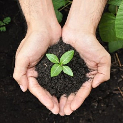Rasi Organic Farms