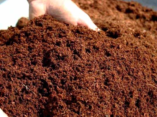 Rasi Organic Farms