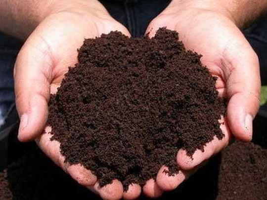 Rasi Organic Farms