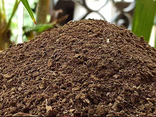 Rasi Organic Farms
