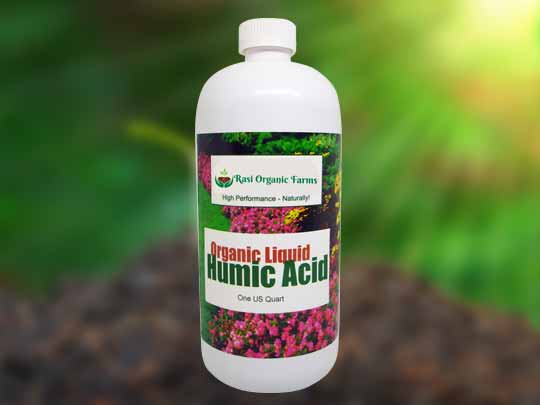 Rasi Organic Farms