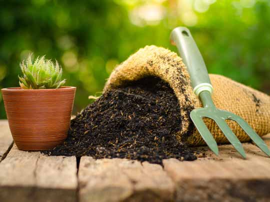 Rasi Organic Farms